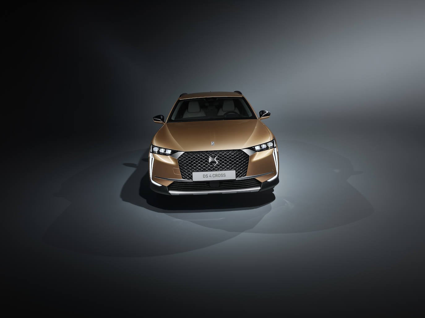 Fotogalería: Nuevo DS 4