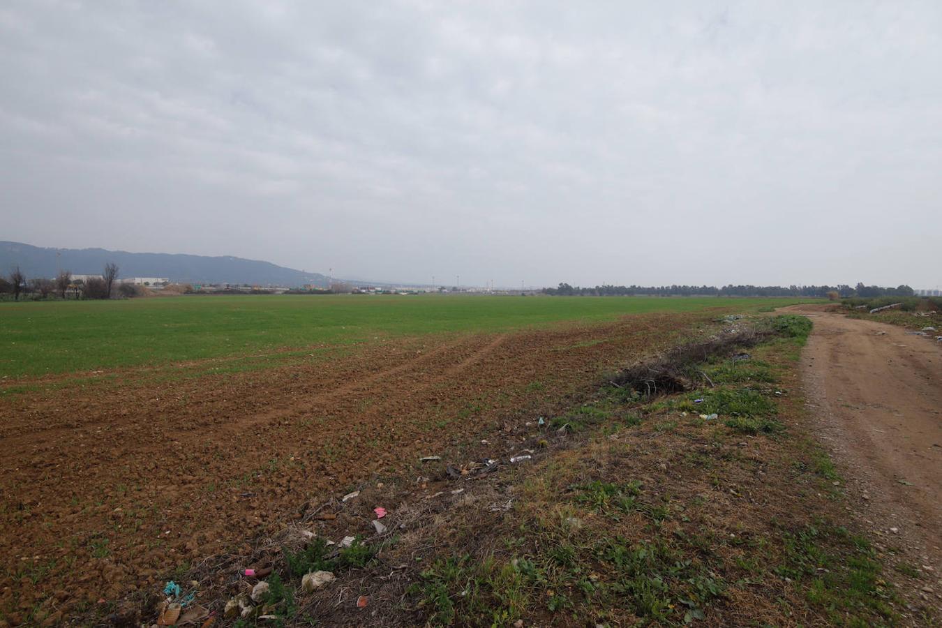 Los terrenos de la futura base logística del Ejército de Tierra en Córdoba, en imágenes