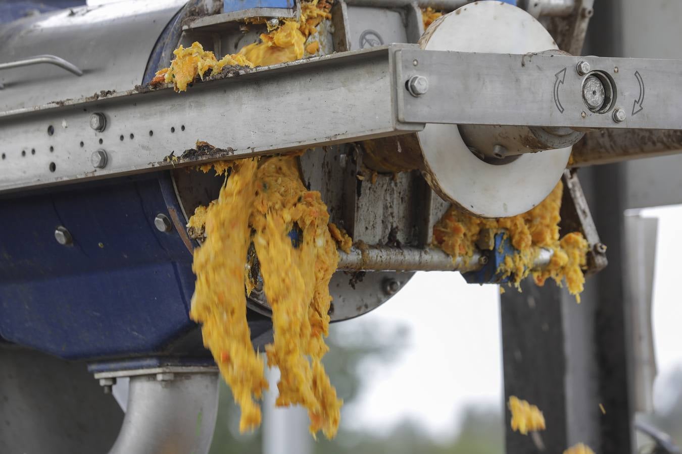 Naranjas que se convertirán en combustible en la estación El Copero