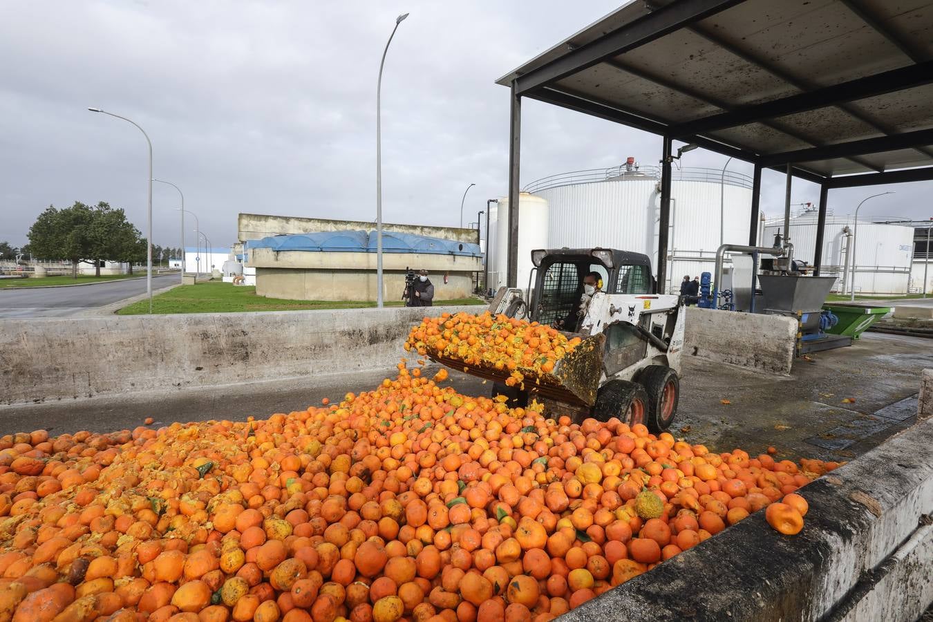 Naranjas que se convertirán en combustible en la estación El Copero