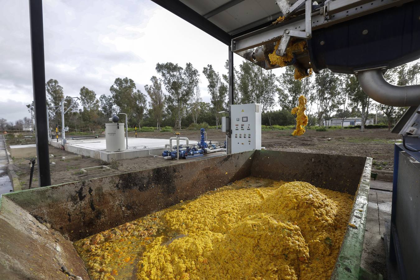 Naranjas que se convertirán en combustible en la estación El Copero