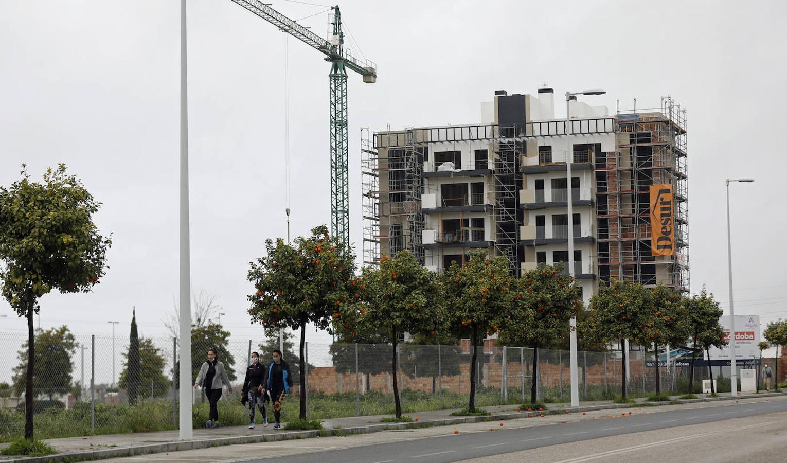 Los múltiples edificios en construcción en Córdoba, en imágenes