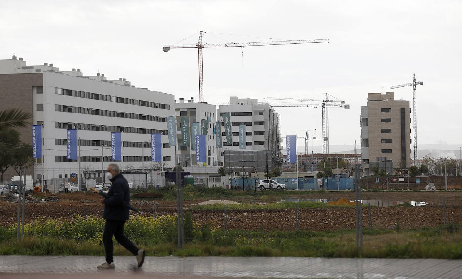 Los múltiples edificios en construcción en Córdoba, en imágenes