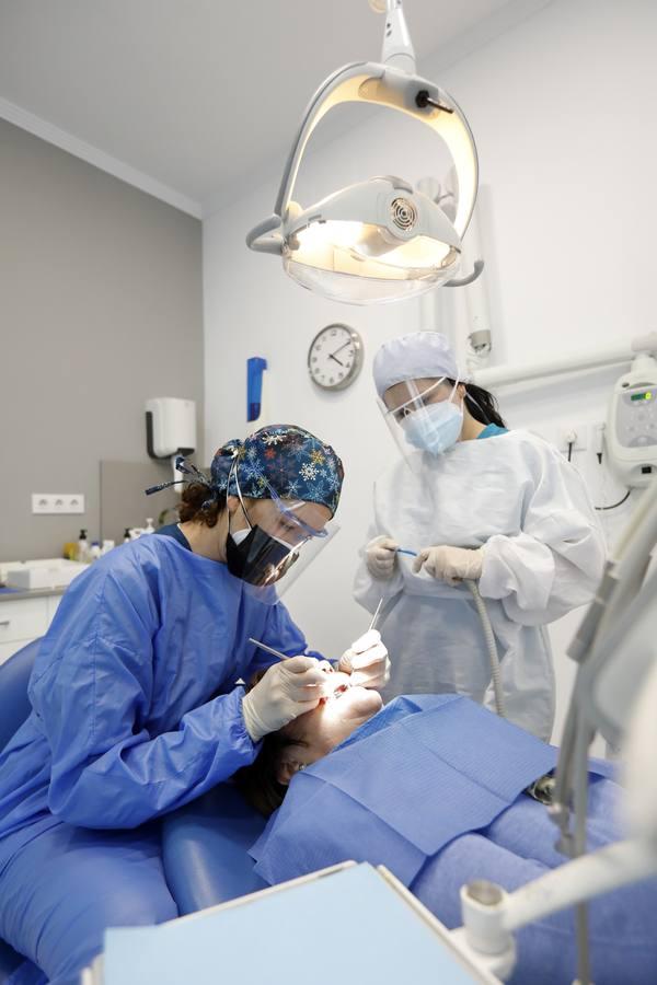El día a día de los dentistas de Córdoba, en imágenes