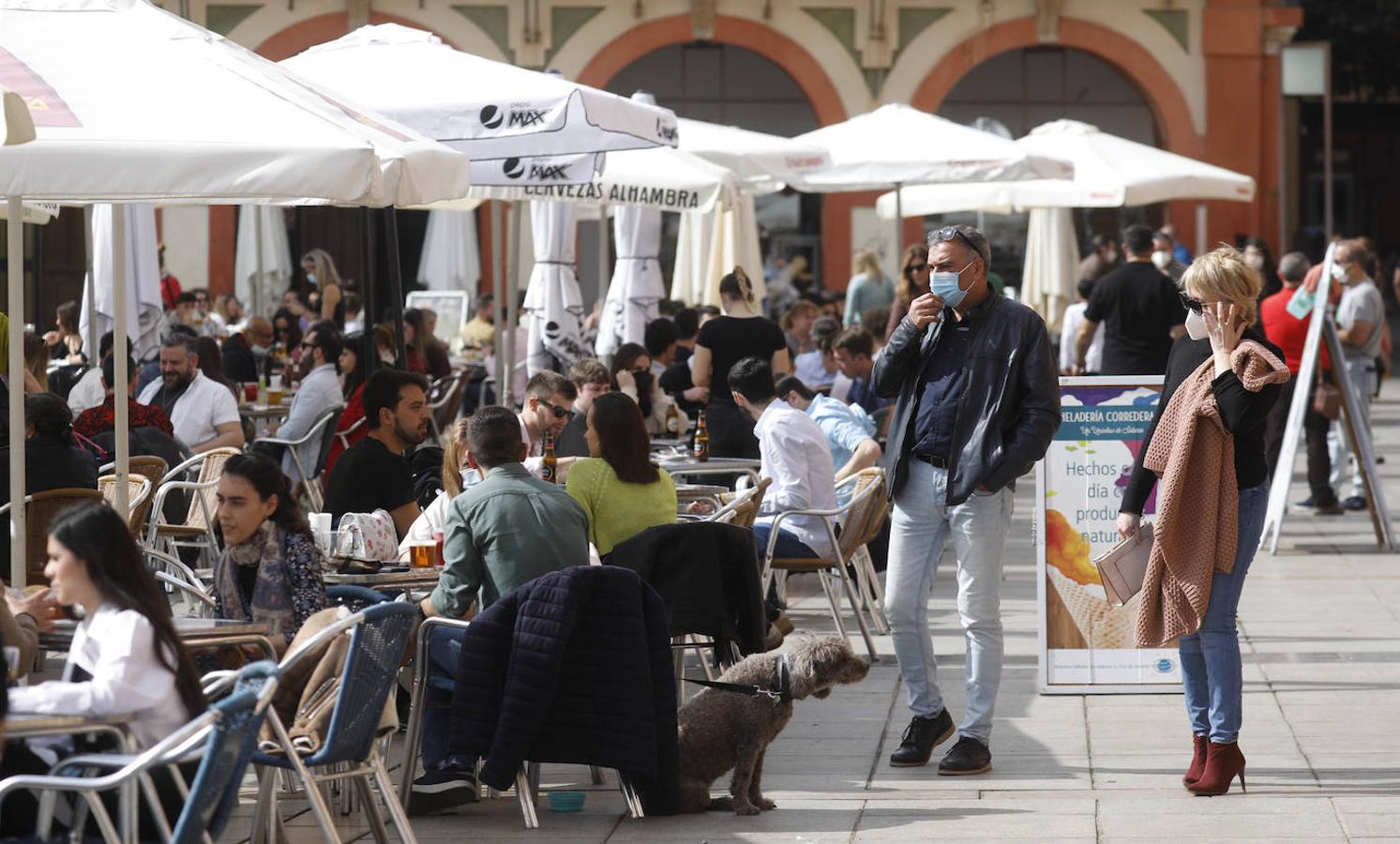 El primer fin de semana de Córdoba tras la apertura perimetral, en imágenes