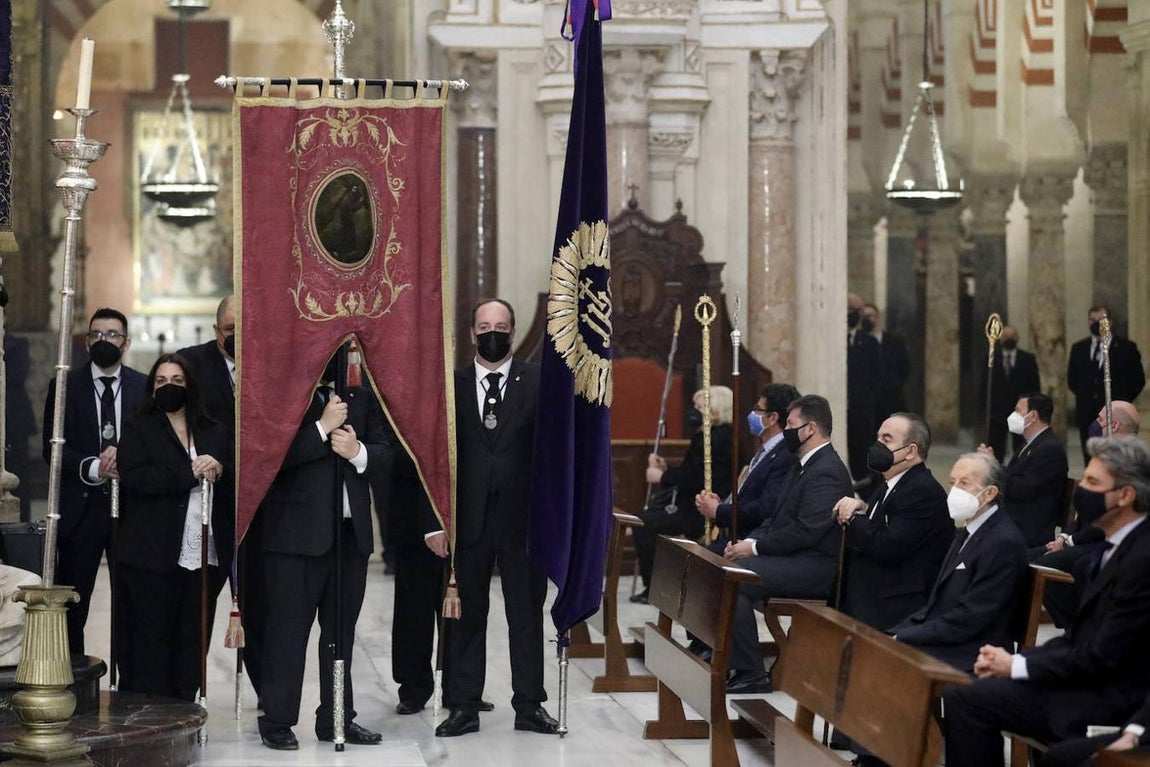 El Vía Crucis de las cofradías de Córdoba, en imágenes