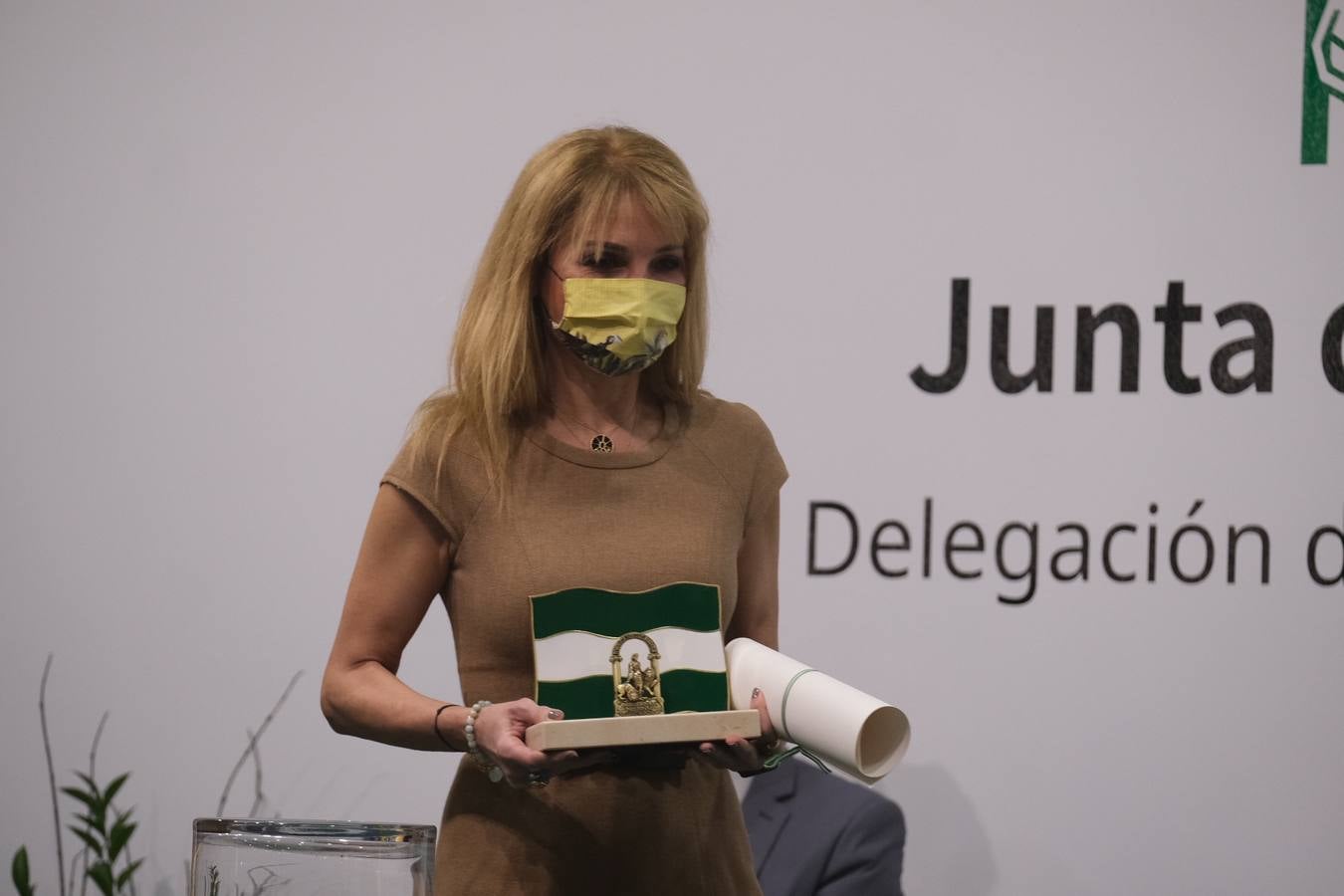 Fotos: La entrega de las banderas de Andalucía, en imágenes