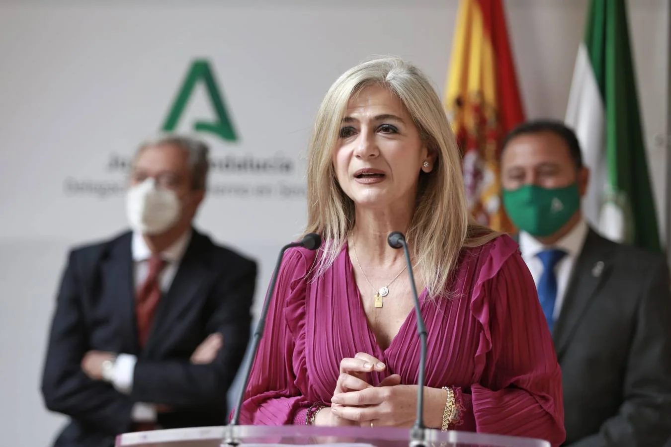 Fotogalería: Entrega de las Banderas de Andalucía en la provincia de Sevilla