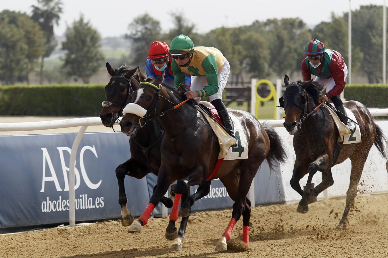 Las carreras de caballos vuelven a Pineda en el Día de Andalucía