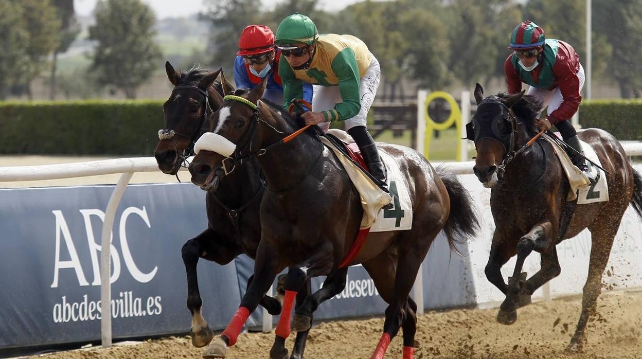 Las carreras de caballos vuelven a Pineda en el Día de Andalucía