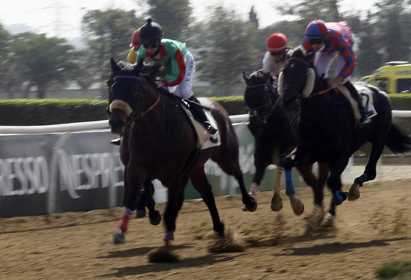 Las carreras de caballos vuelven a Pineda en el Día de Andalucía