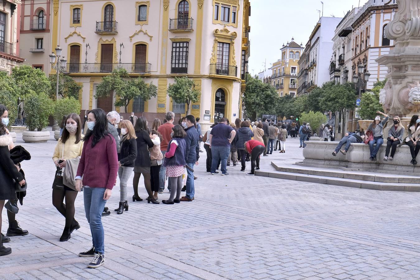 En imágenes, colas para ver los restos del hamán almohade descubiertos en el Bar Giralda