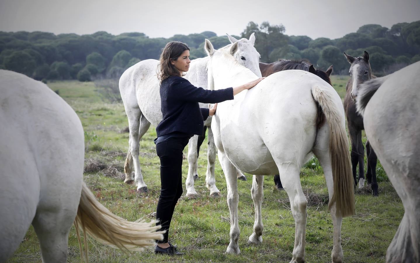 Fotogalería: Un día de Lea Vicens entre caballos