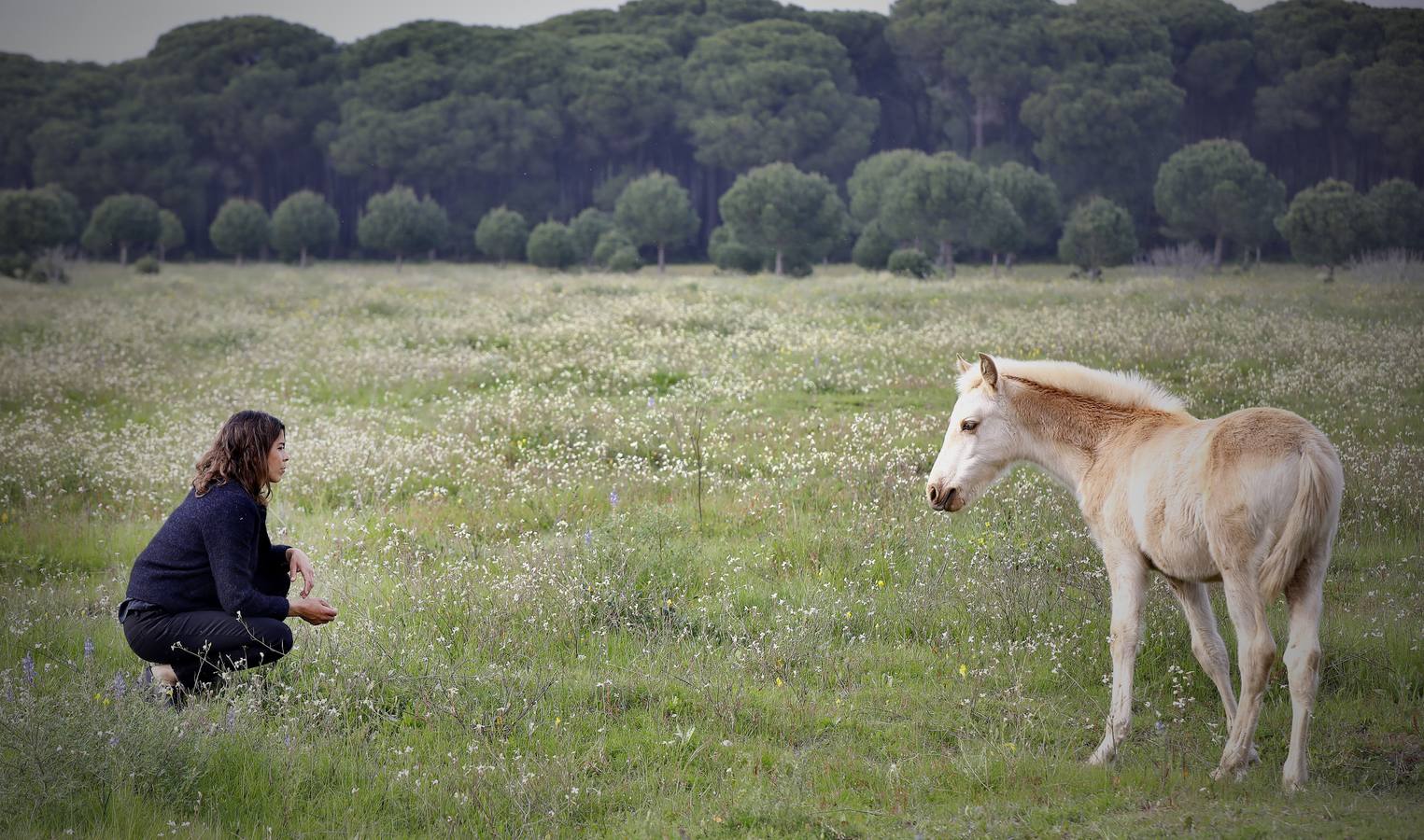 Fotogalería: Un día de Lea Vicens entre caballos