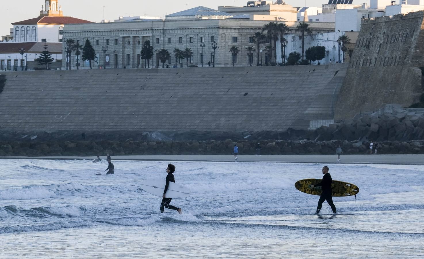 Primer año Covid-19 en Cádiz