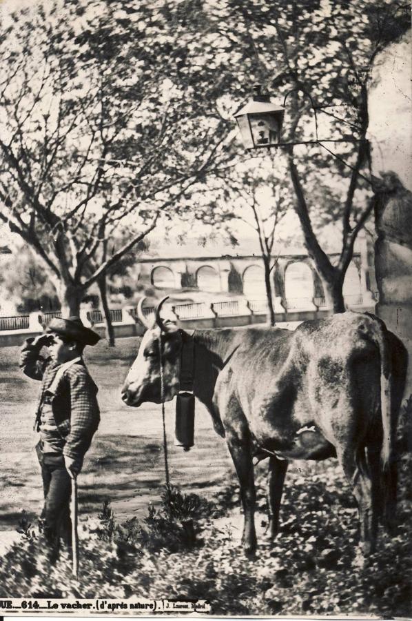 Fotogalería: la Córdoba del XIX que retrató Jean Laurent