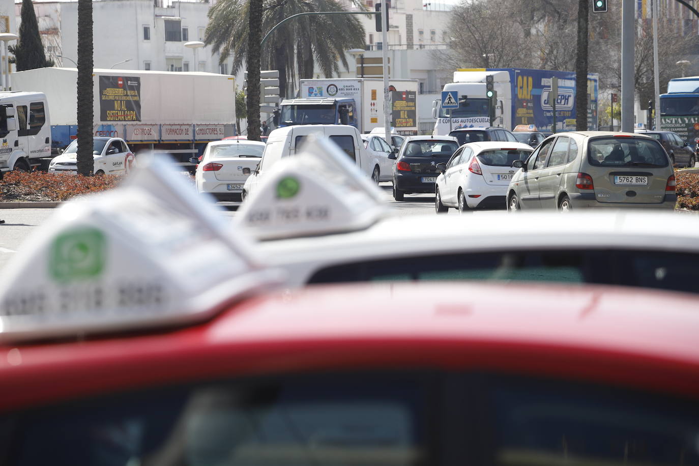 La protesta de las autoescuelas en Córdoba, en imágenes