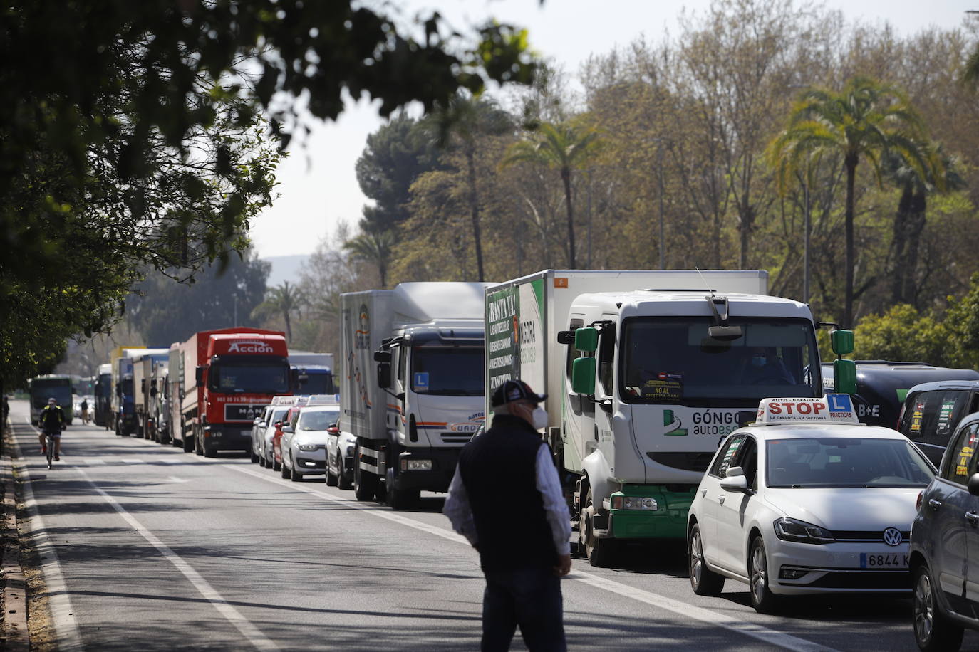 La protesta de las autoescuelas en Córdoba, en imágenes