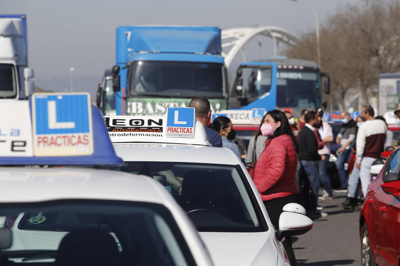 La protesta de las autoescuelas en Córdoba, en imágenes