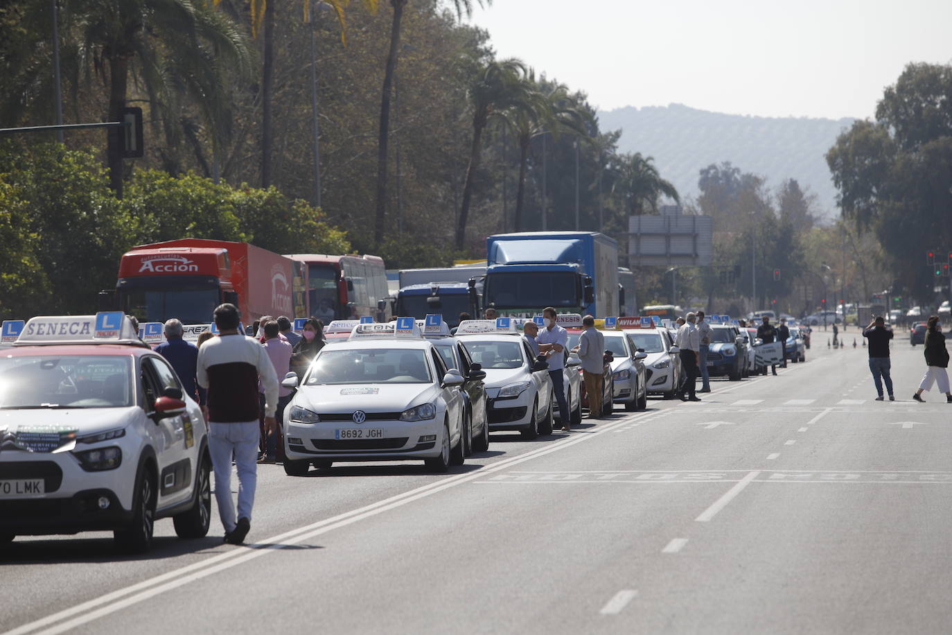 La protesta de las autoescuelas en Córdoba, en imágenes