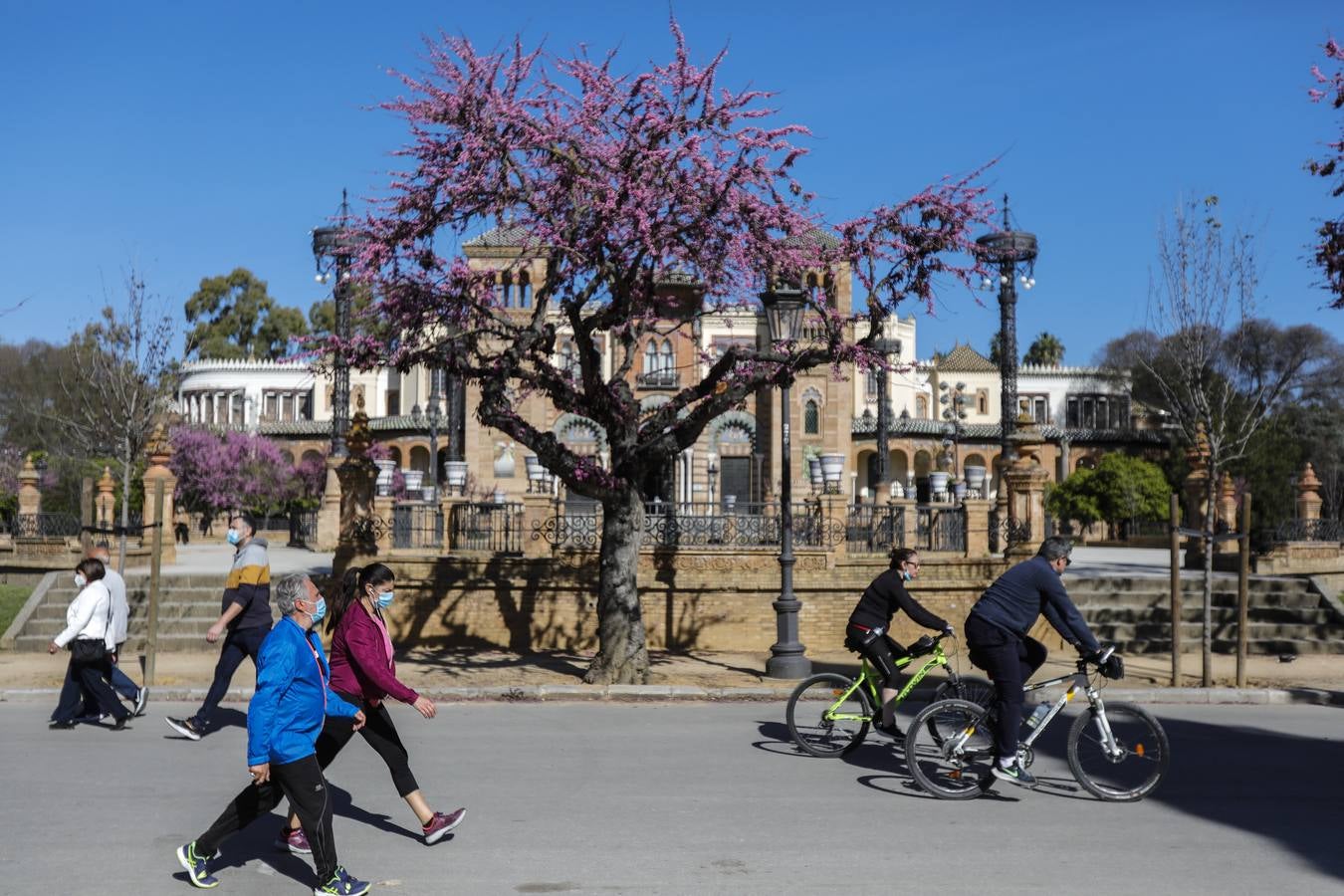 Sevillanos paseando por el parque de María Luisa