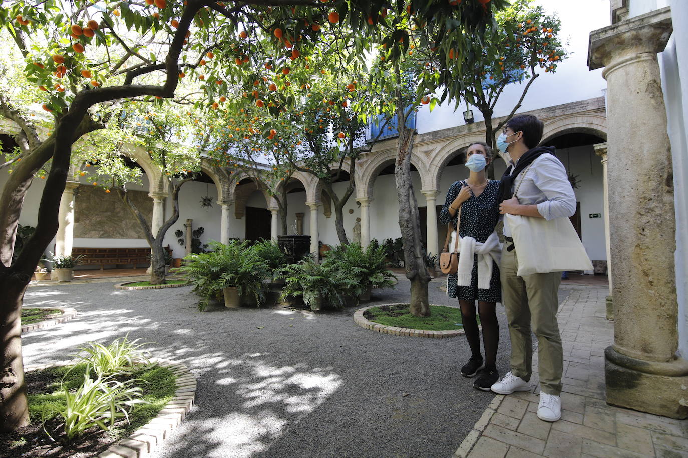 Las visitas gratuitas al Palacio de Viana, de Córdoba, en imágenes