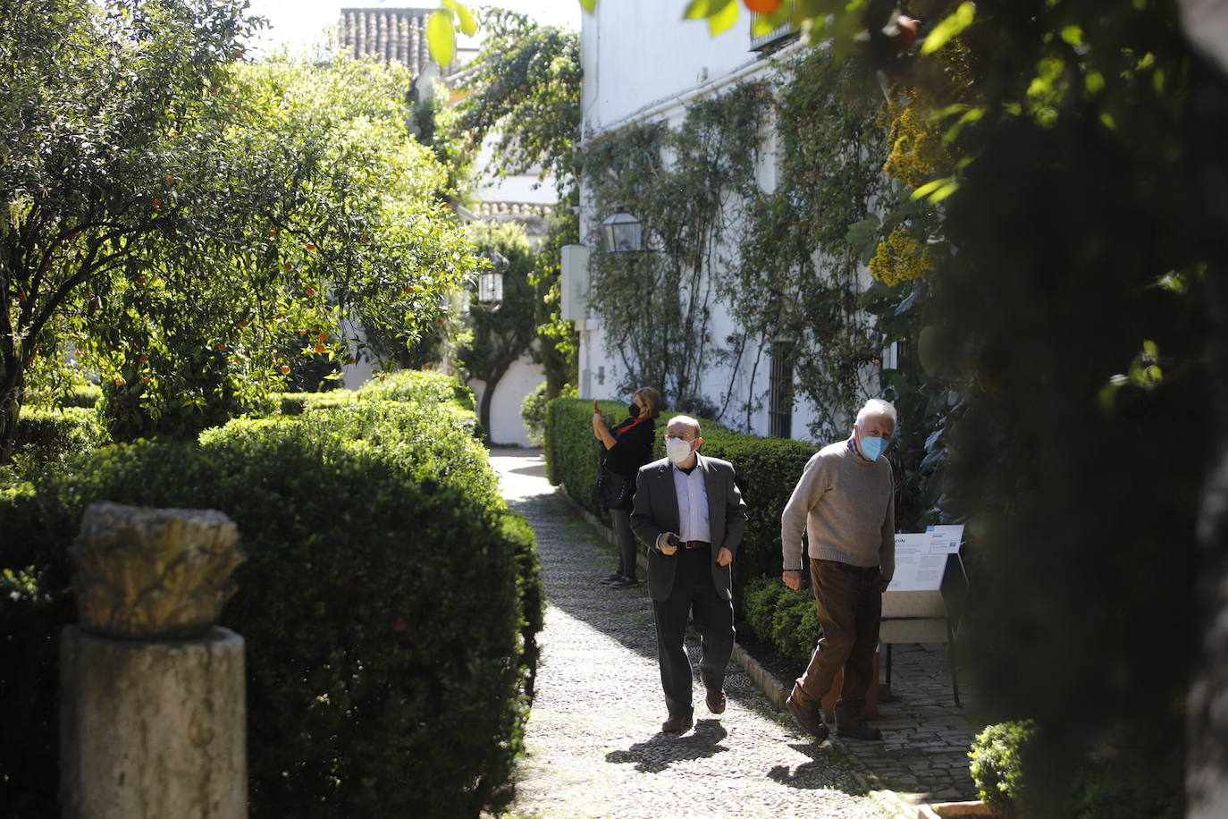 Las visitas gratuitas al Palacio de Viana, de Córdoba, en imágenes