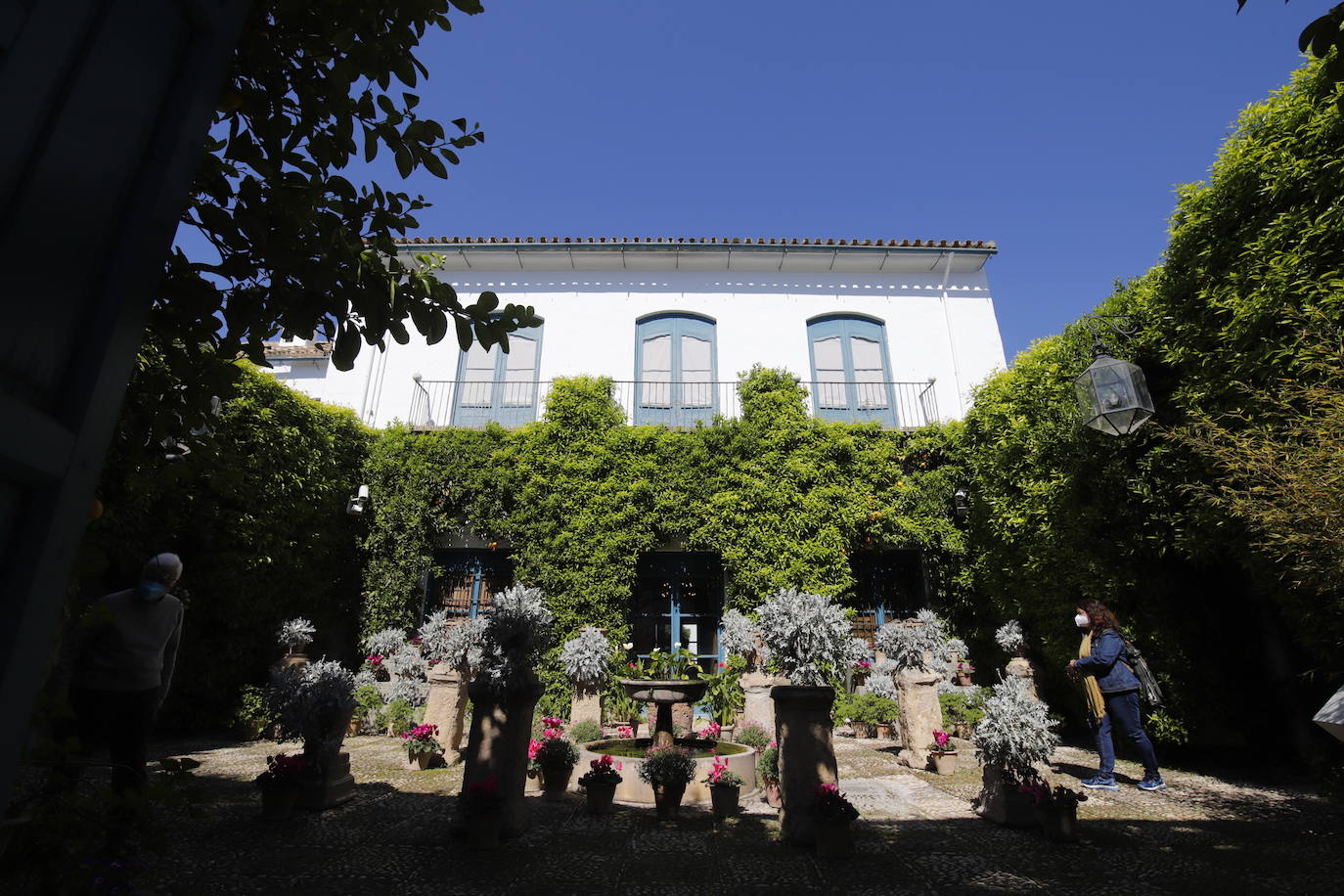 Las visitas gratuitas al Palacio de Viana, de Córdoba, en imágenes