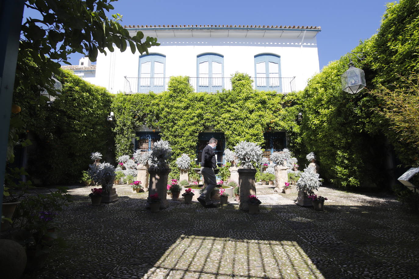 Las visitas gratuitas al Palacio de Viana, de Córdoba, en imágenes