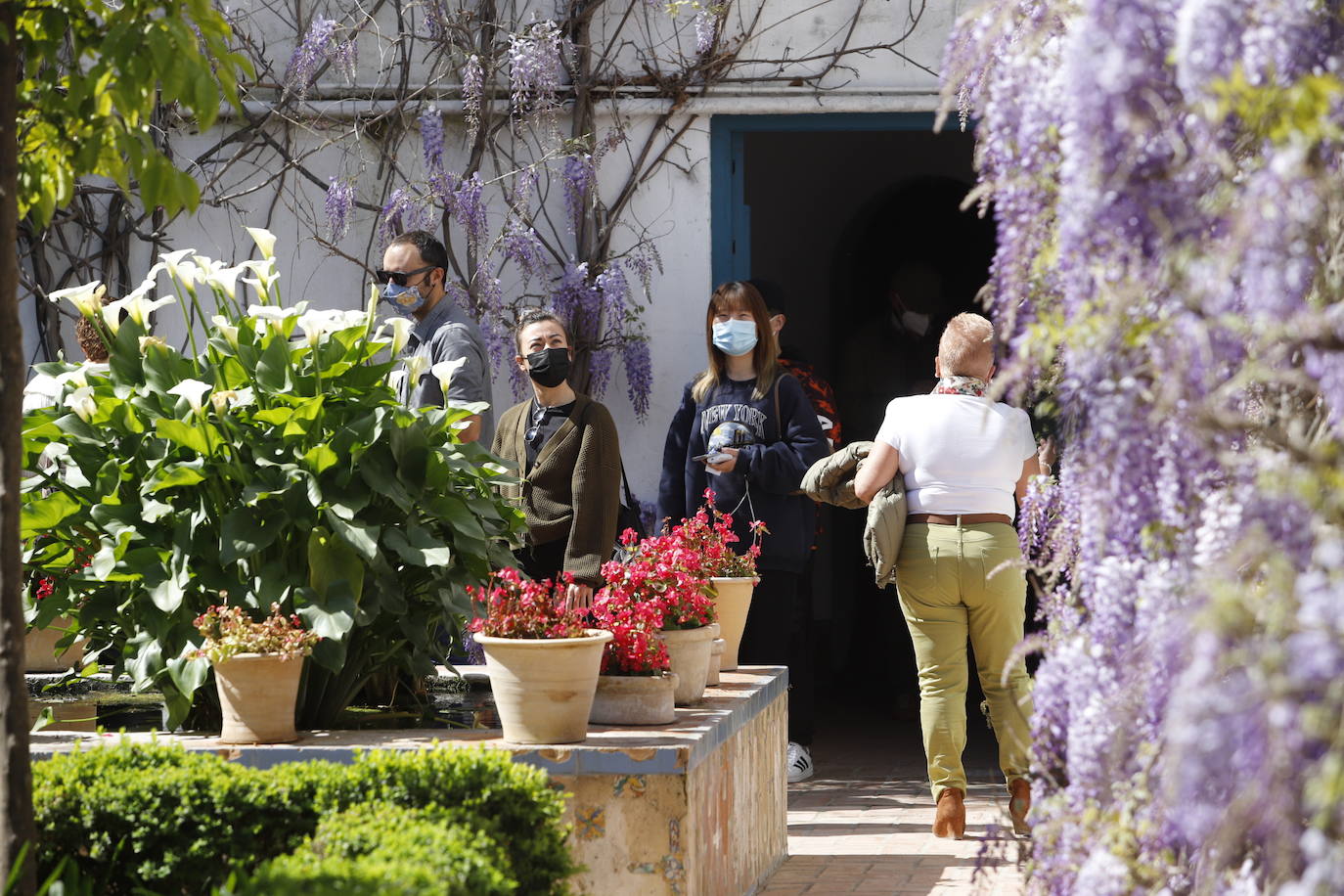 Las visitas gratuitas al Palacio de Viana, de Córdoba, en imágenes