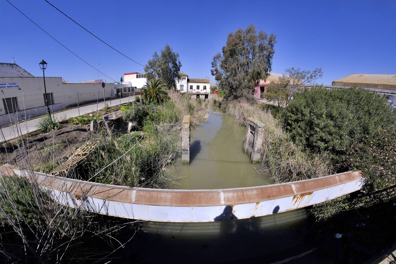 Fotogalería: Los restos de las Marismas inglesas en Sevilla