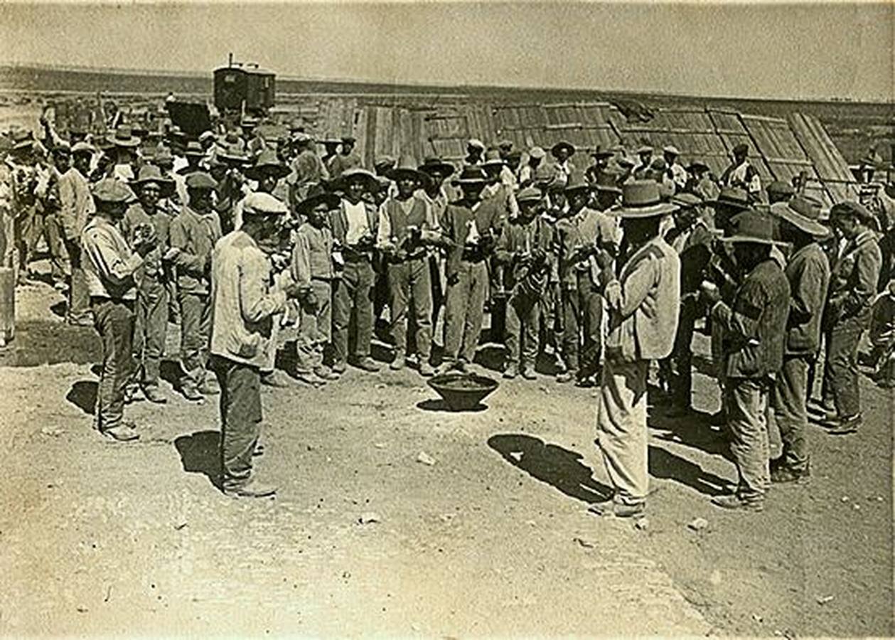 Fotogalería: El origen inglés de las Marismas de Sevilla