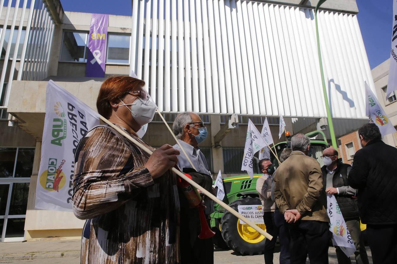 La protesta de los agricultores contra el Gobierno en Córdoba, en imágenes