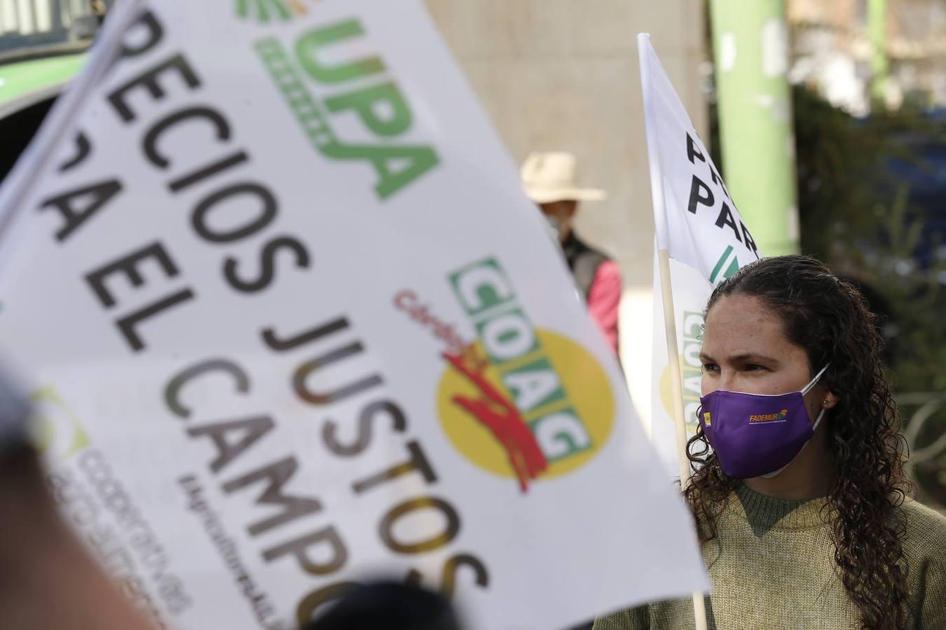 La protesta de los agricultores contra el Gobierno en Córdoba, en imágenes