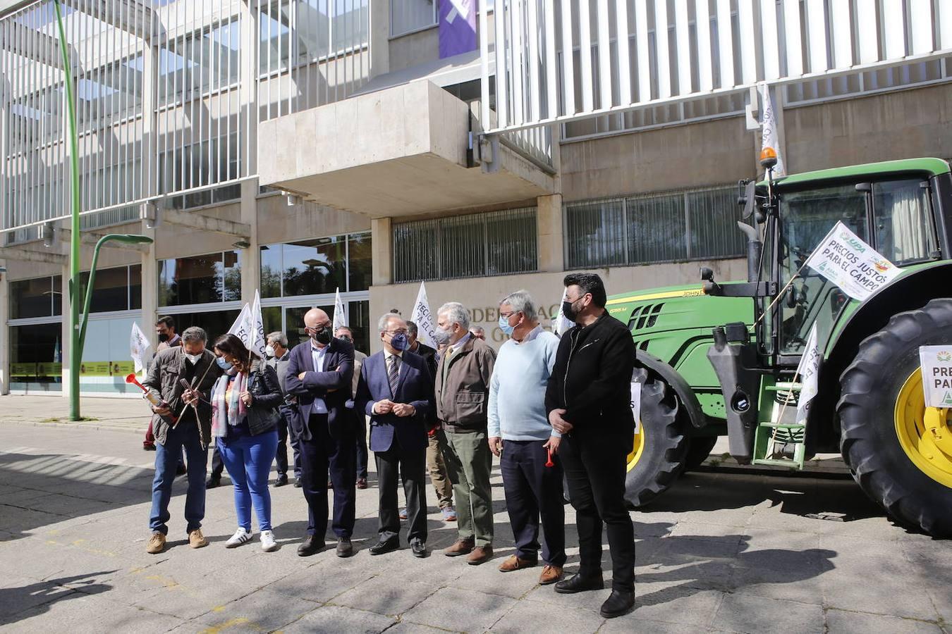 La protesta de los agricultores contra el Gobierno en Córdoba, en imágenes