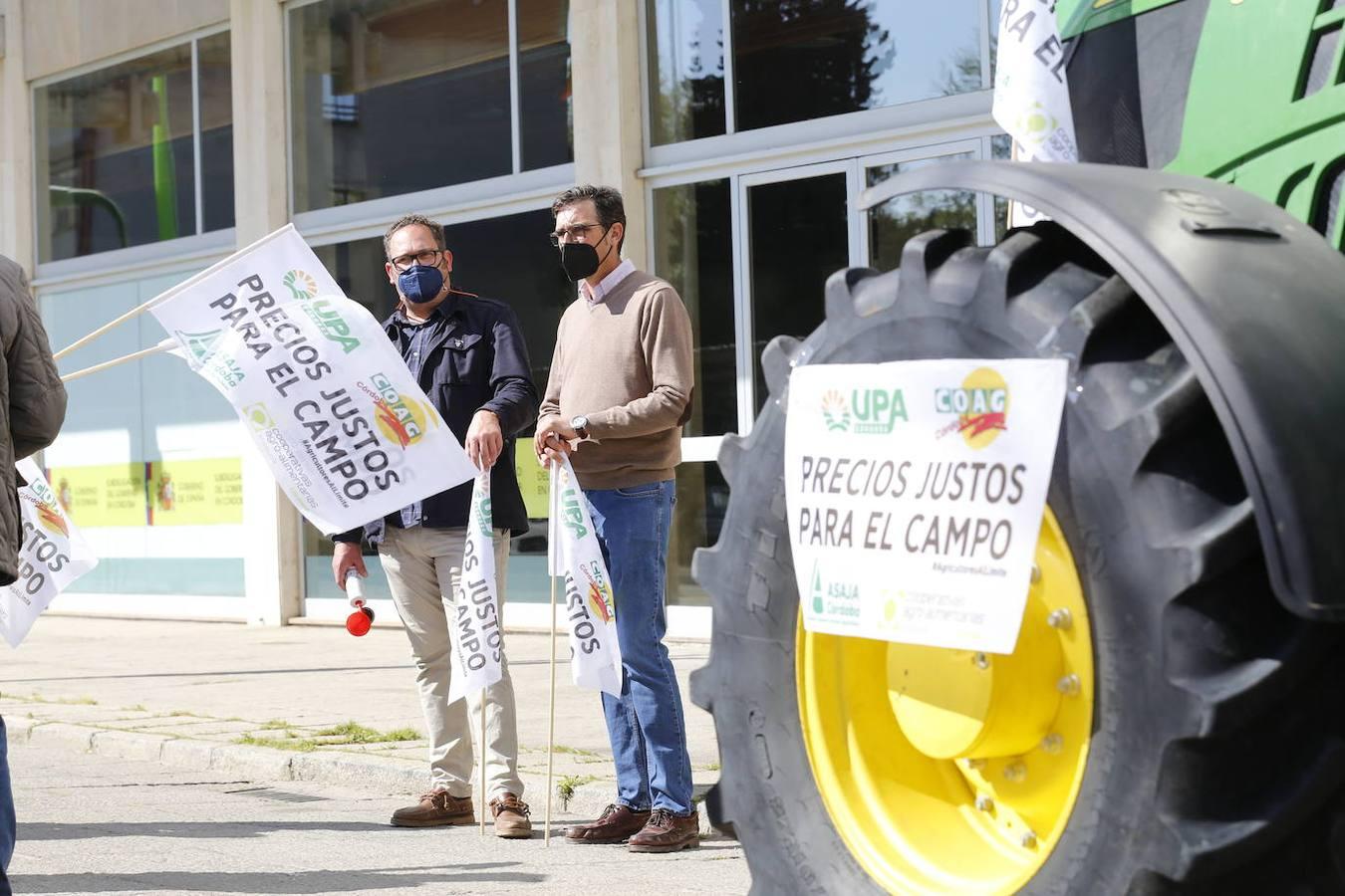 La protesta de los agricultores contra el Gobierno en Córdoba, en imágenes