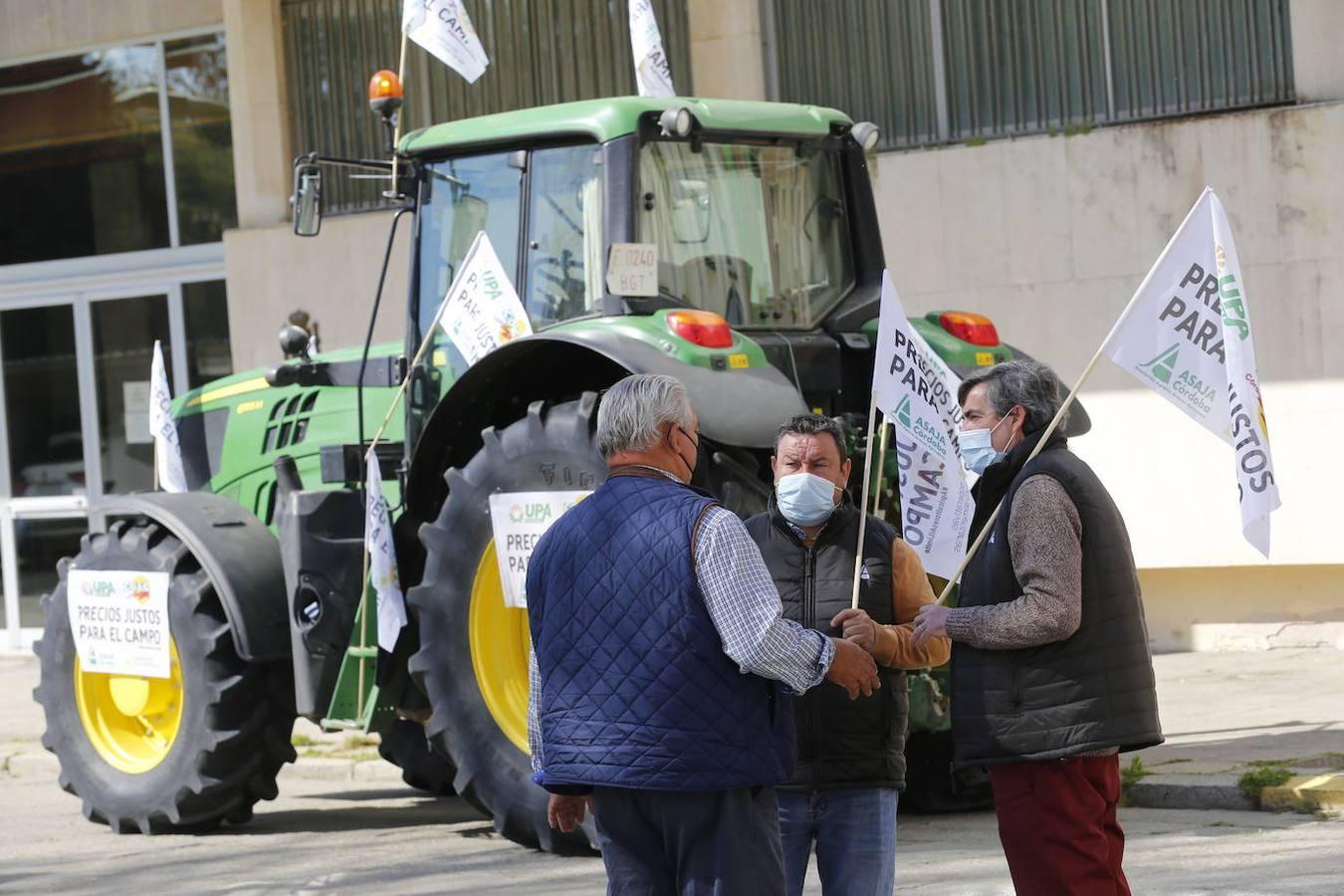 La protesta de los agricultores contra el Gobierno en Córdoba, en imágenes