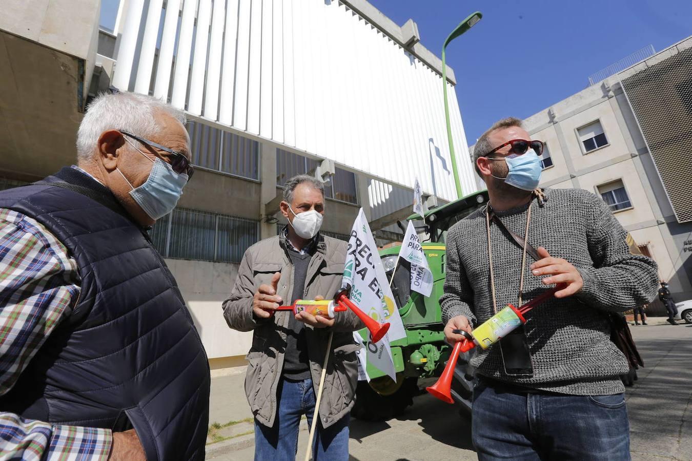 La protesta de los agricultores contra el Gobierno en Córdoba, en imágenes