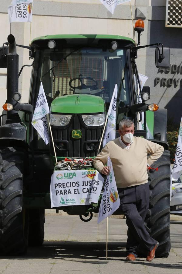 La protesta de los agricultores contra el Gobierno en Córdoba, en imágenes