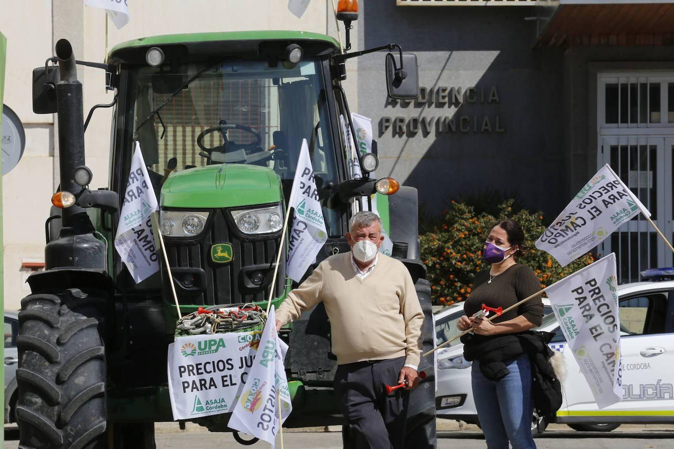 La protesta de los agricultores contra el Gobierno en Córdoba, en imágenes