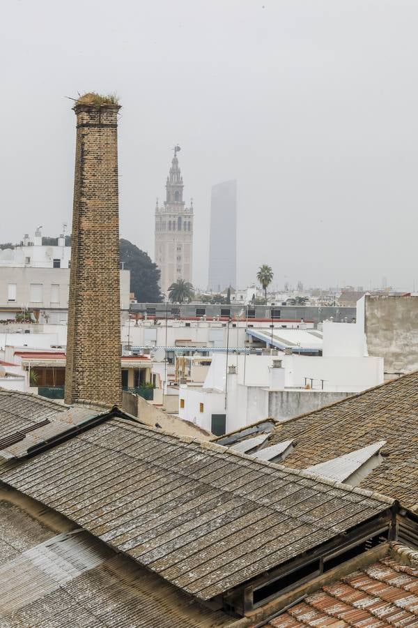 Techos de la Fábrica de Artillería de Sevilla