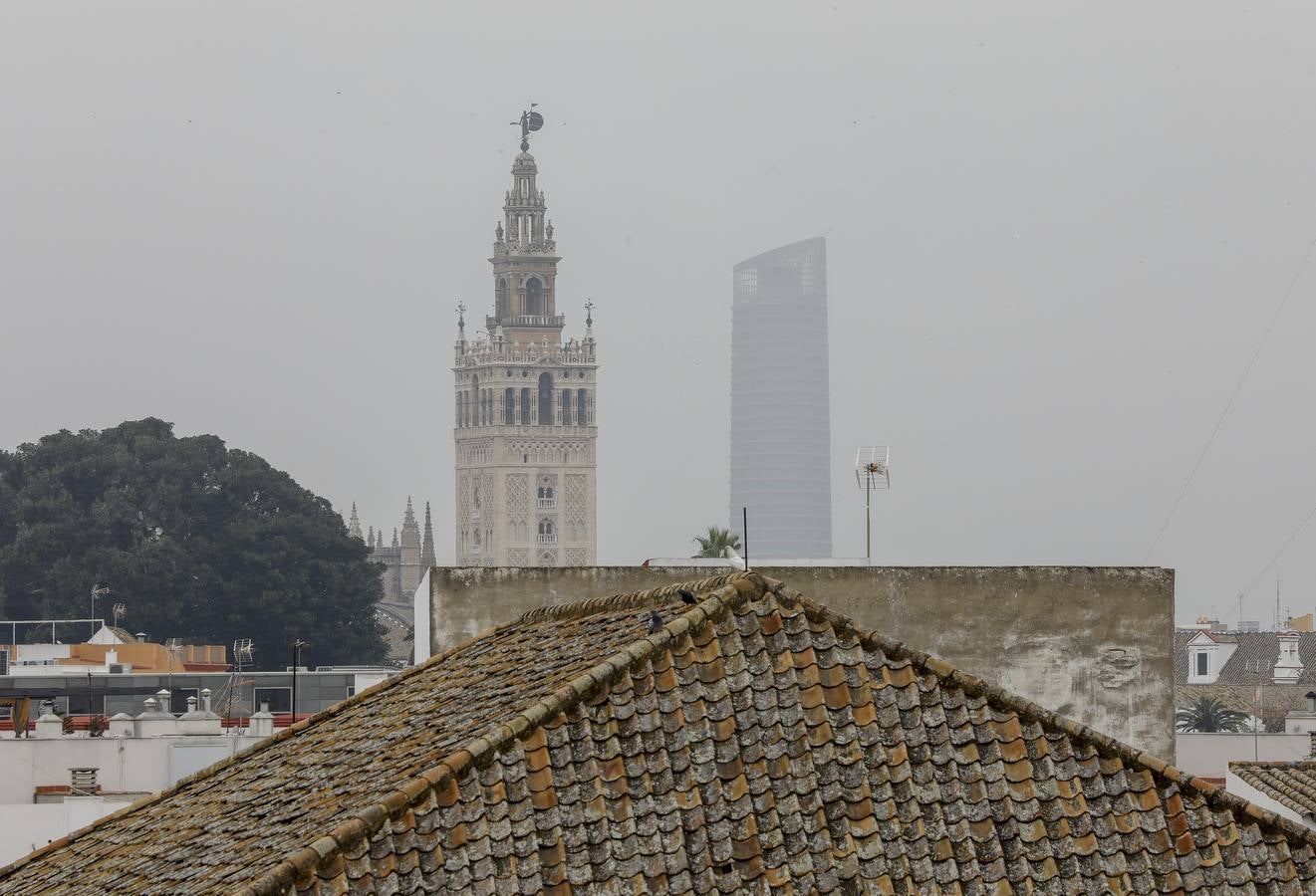 Techos de la Fábrica de Artillería de Sevilla