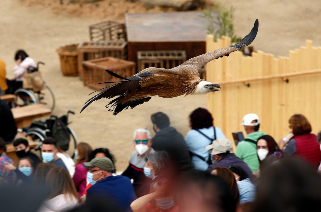 Las imágenes de la apertura de Puy du Fou