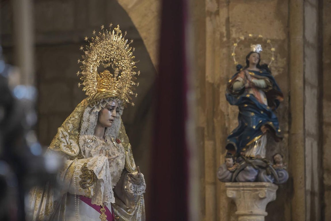 Semana Santa Córdoba 2021 | Las imágenes de la Borriquita en el Domingo de Ramos