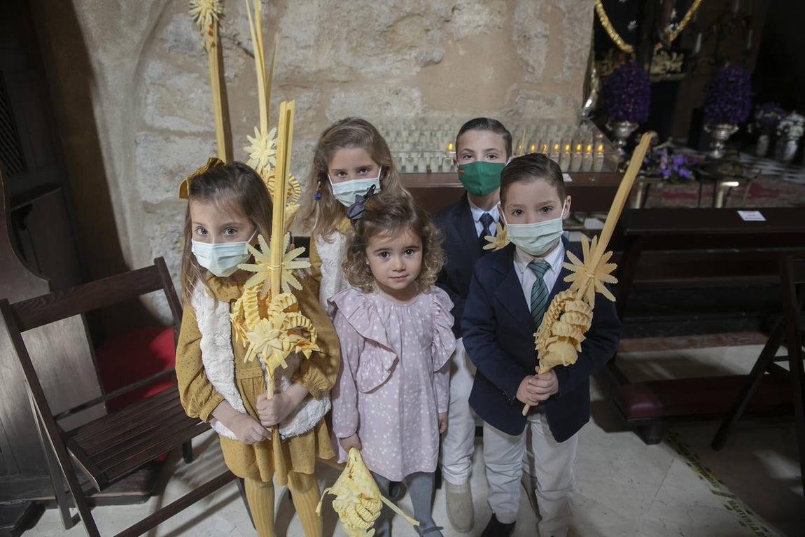 Semana Santa Córdoba 2021 | Las imágenes de la Borriquita en el Domingo de Ramos