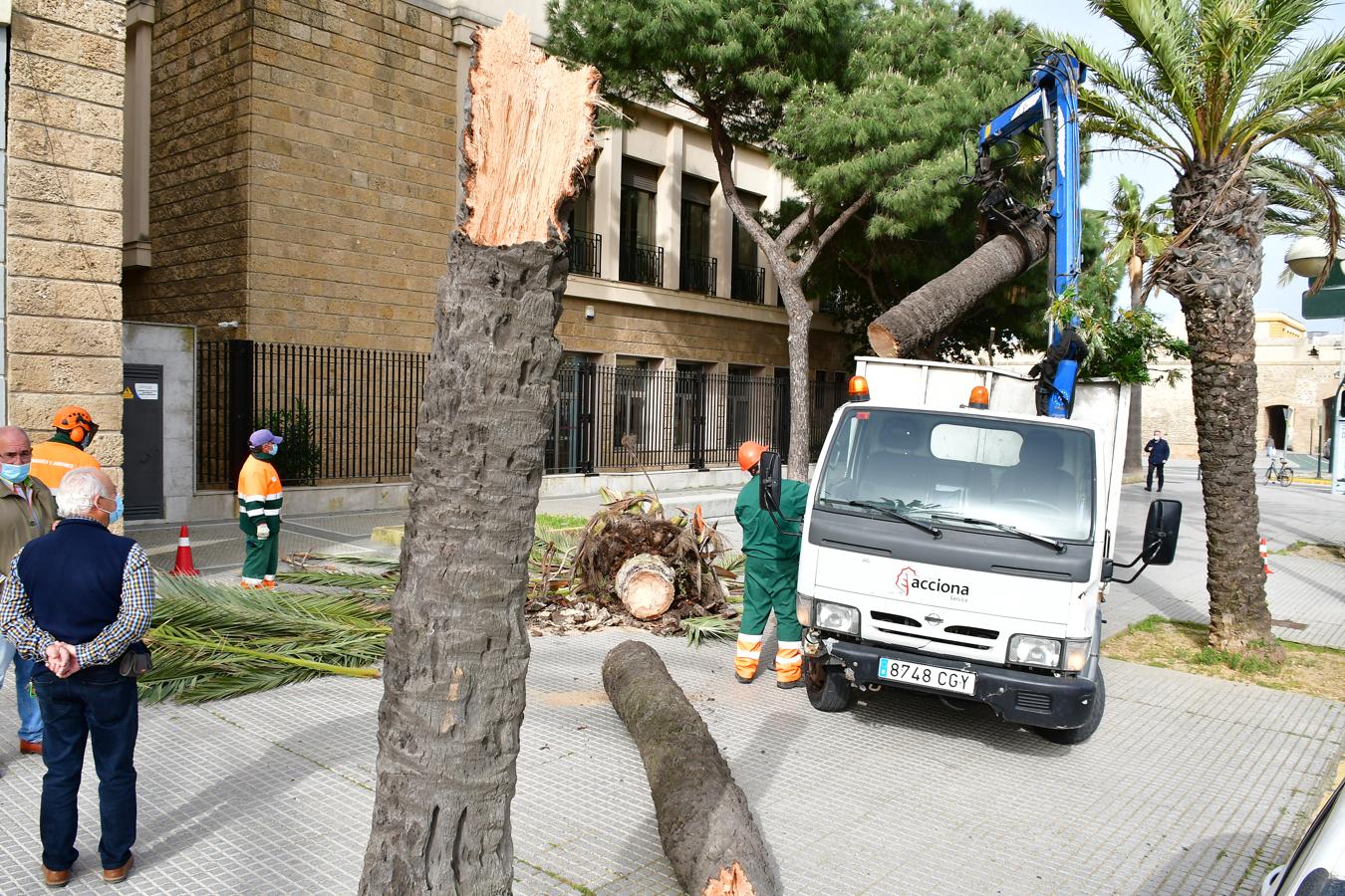 FOTOS: El temporal de Levante tira árboles y causa destrozos en Cádiz