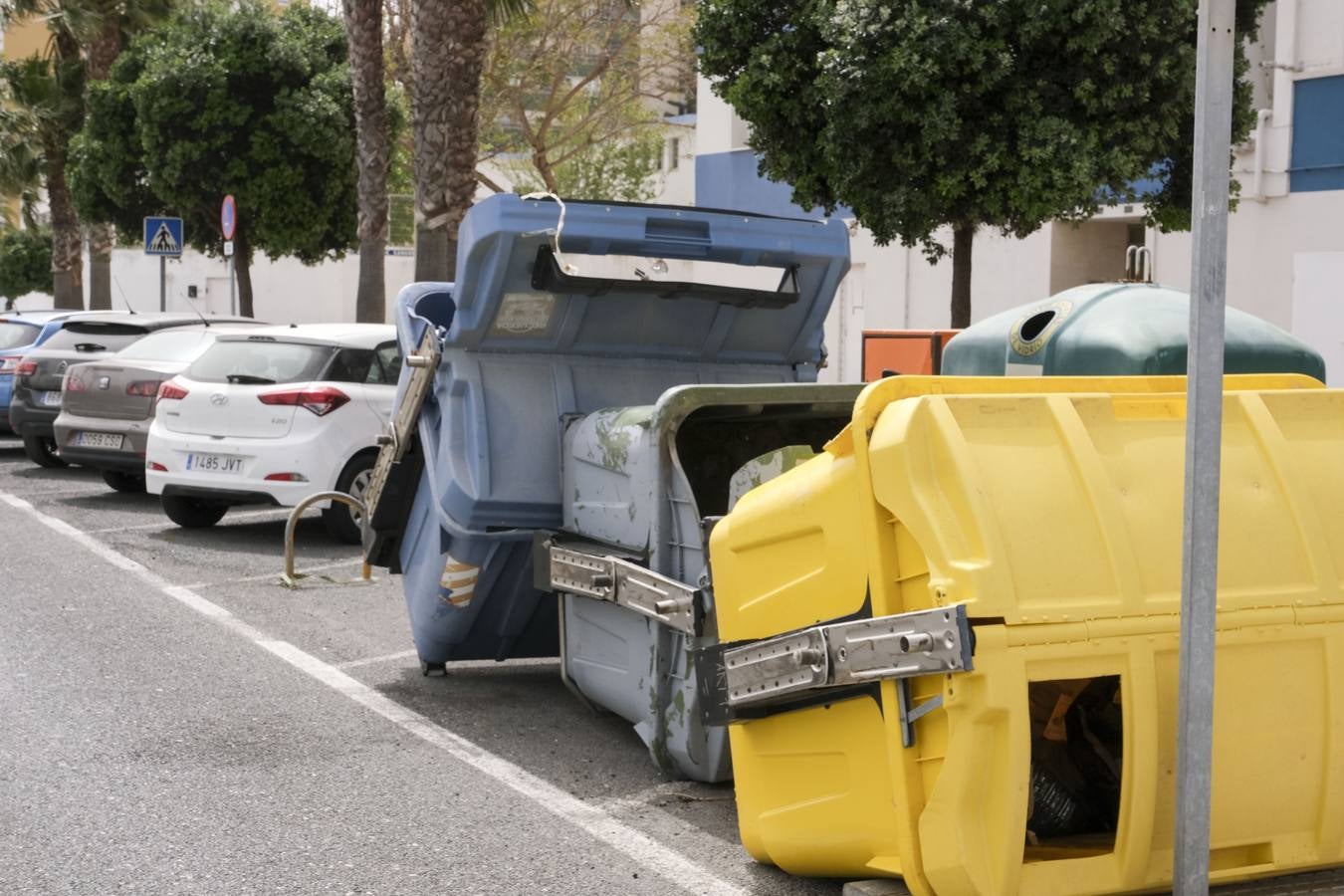 FOTOS: El temporal de Levante tira árboles y causa destrozos en Cádiz