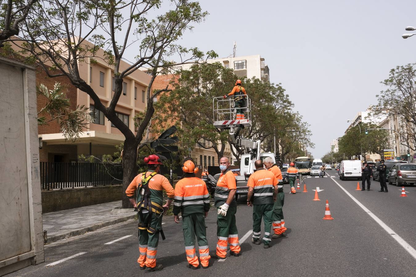 FOTOS: El temporal de Levante tira árboles y causa destrozos en Cádiz