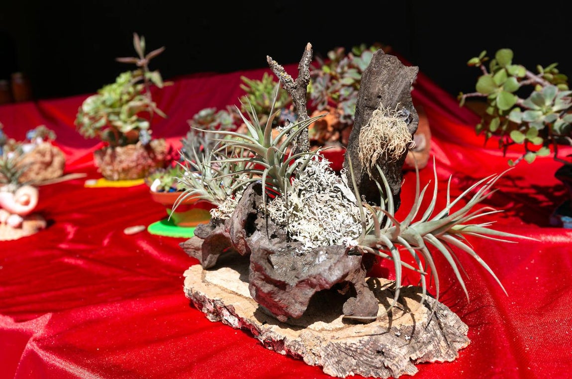 El Mercado de las Flores vuelve al Casco Histórico de Toledo