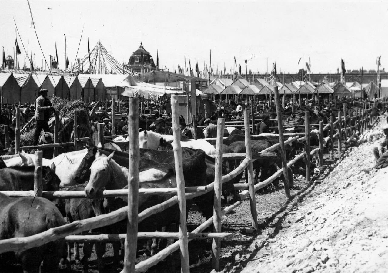 Mercados de ganados durante el primer día de la Feria de Abril de Sevilla de 1936